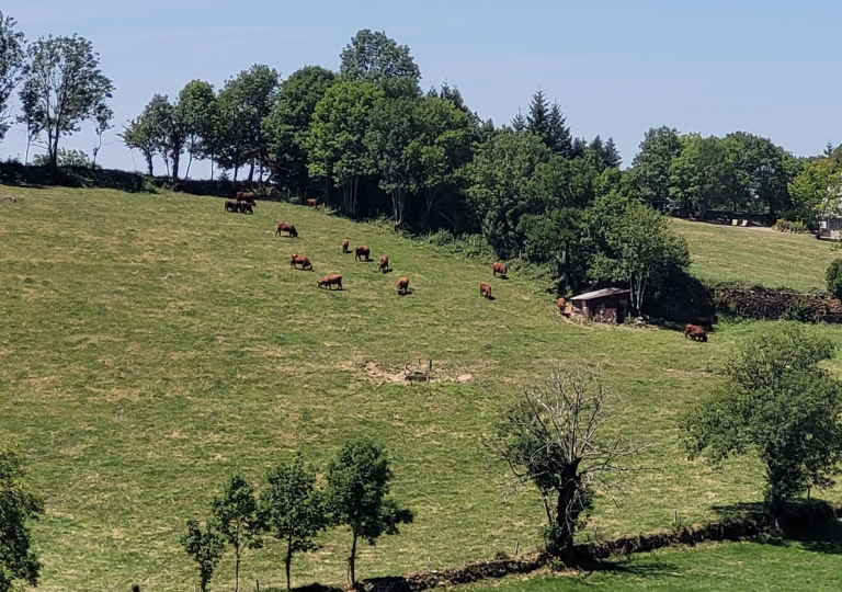 Sortie Cantal du 14 au 17 juillet 2022_12