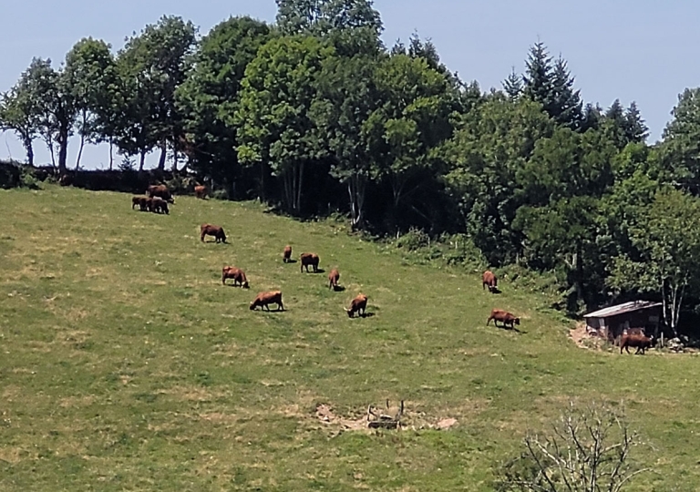 Sortie Cantal du 14 au 17 juillet 2022_13